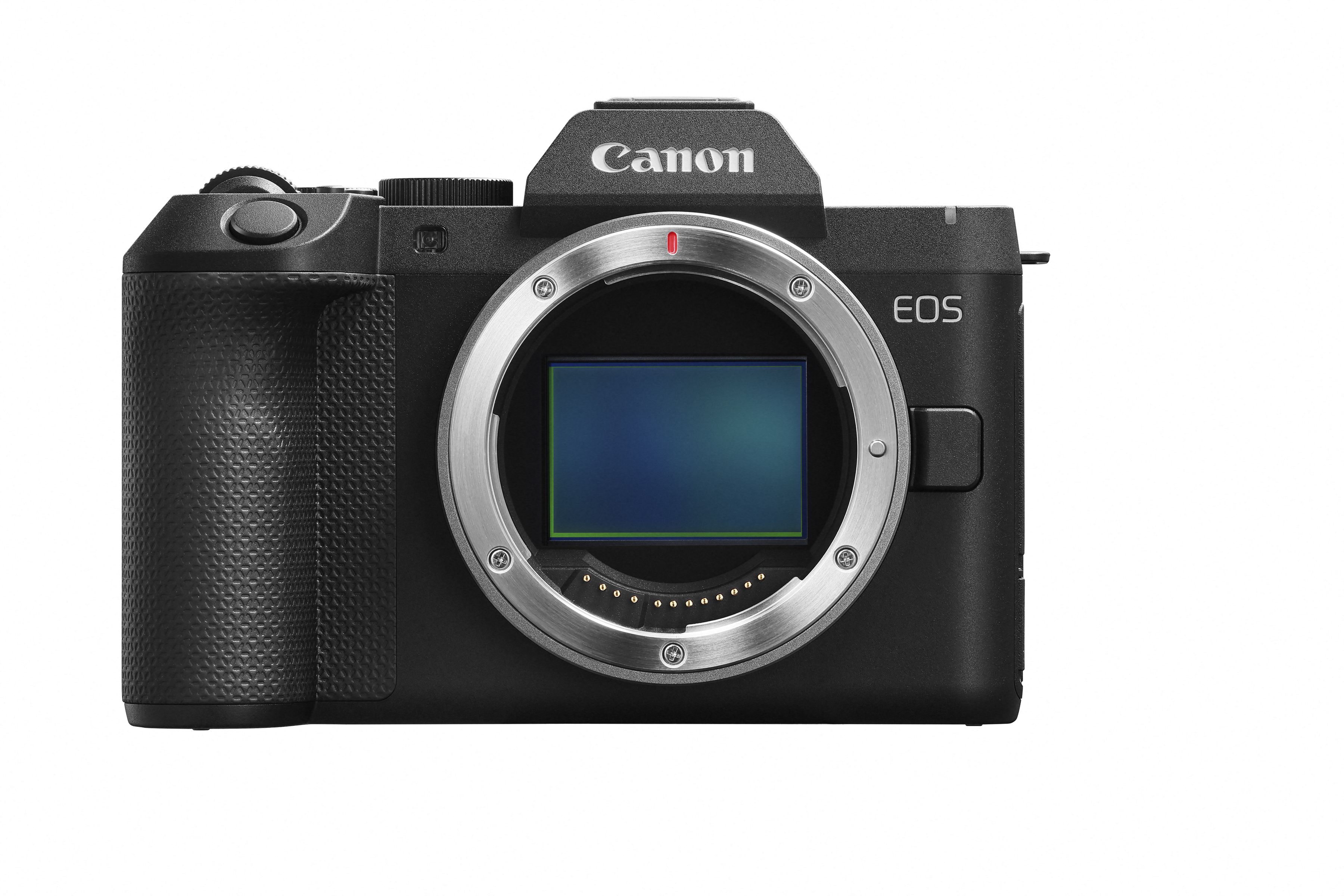 Canon EOS R8 Mark II Body
