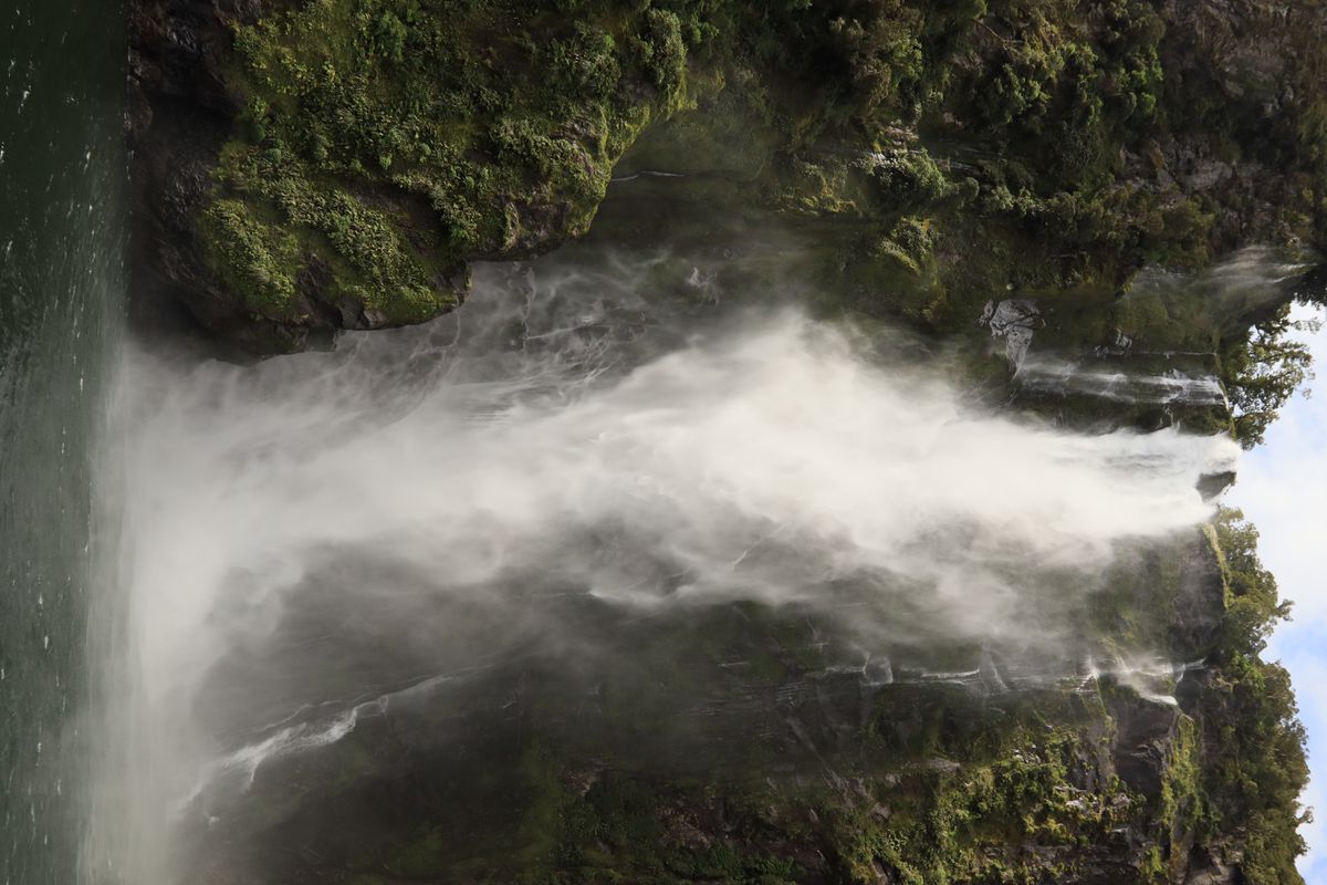 Canon EOS 850D + 18-55mm IS STM