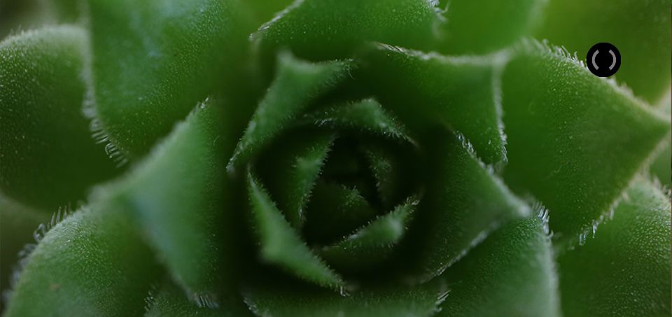 Canon EF-M 28mm f/3.5 IS STM Makro