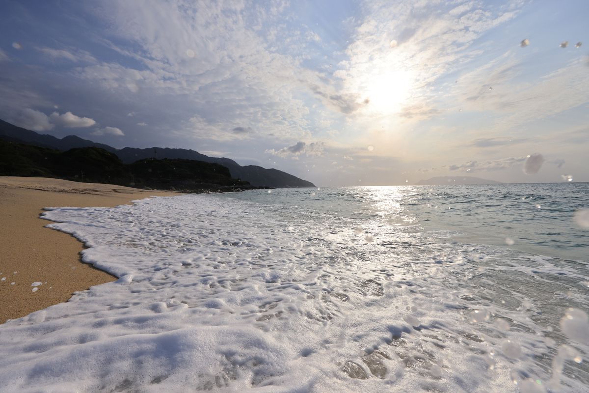 Canon RF 14-35mm f/4L IS USM