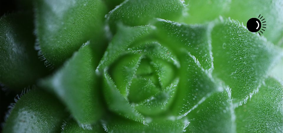 Canon EF-M 28mm f/3.5 IS STM Makro