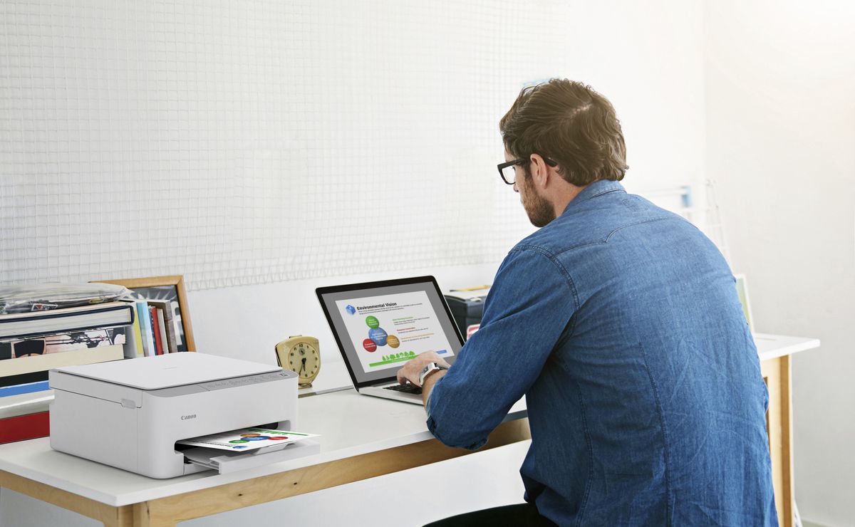 Canon PIXMA TS4151i White/Grey