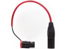 Rycote Câble XLR 26 cm (fiche coudée)