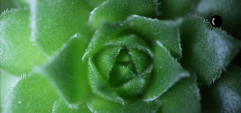 Canon EF-M 28mm f/3.5 IS STM Makro