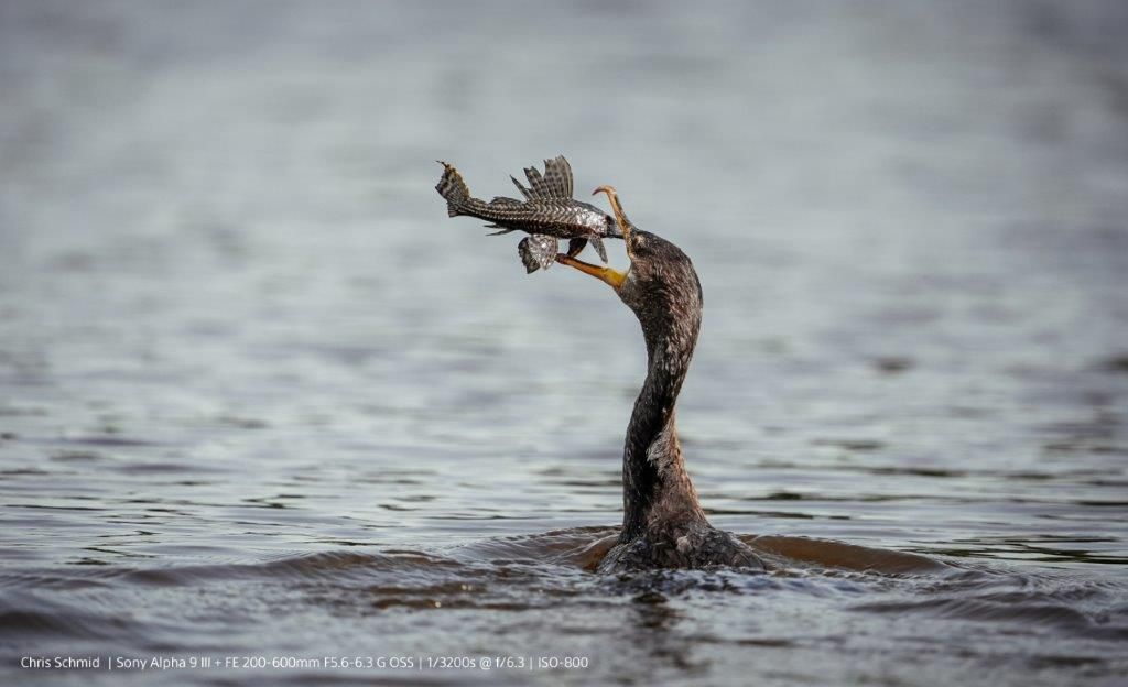 Sony Alpha A9 Mark III Body Black