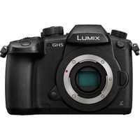 Panasonic Lumix DC-GH5EG-K Body black