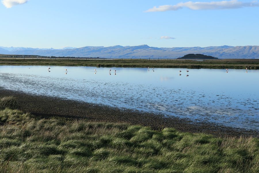 Canon EOS 80D Boitier