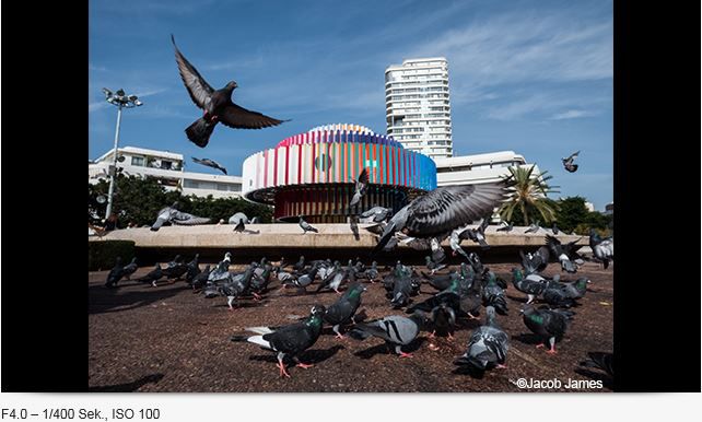 Panasonic DC-FZ82 black