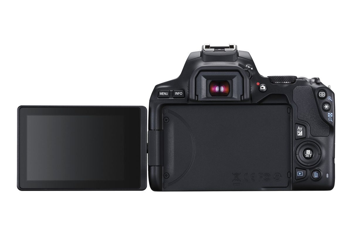Canon EOS 250D Body