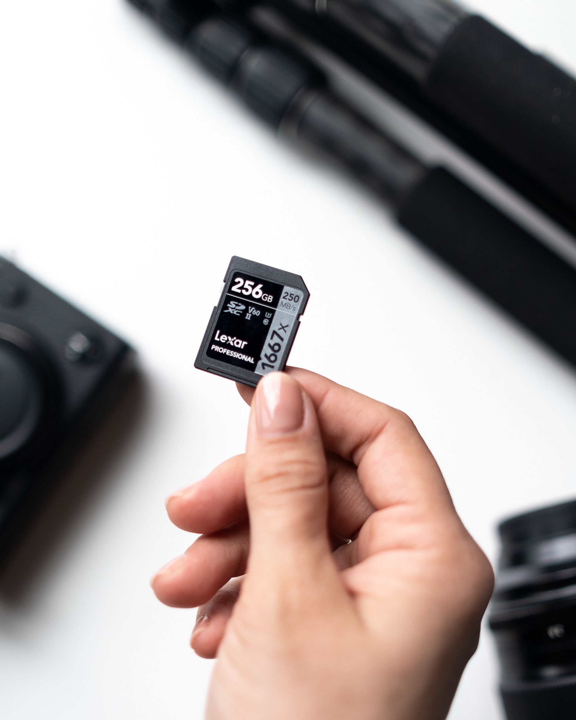 Lexar 1667x UHS-II SDXC 256GB Silver