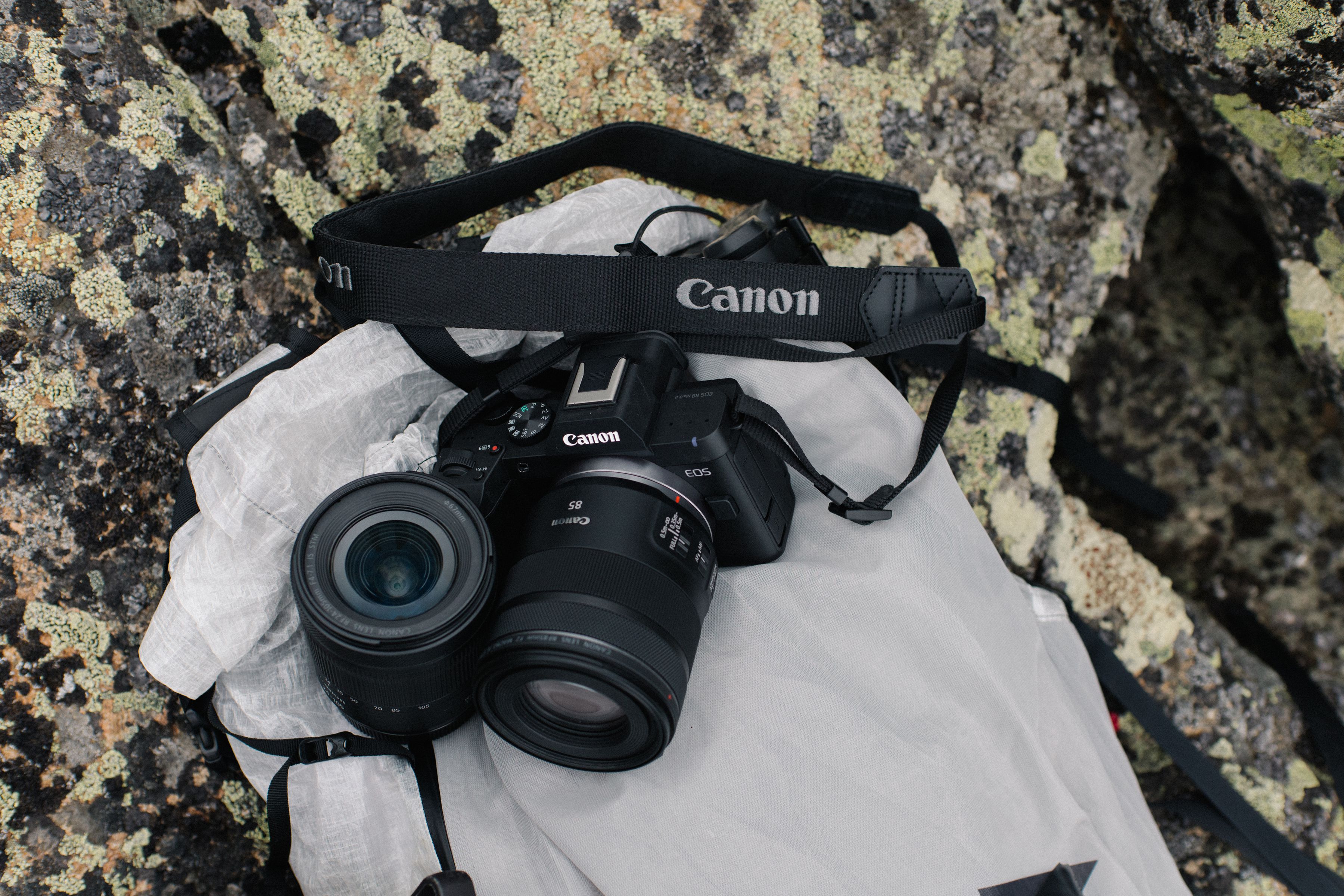 Canon EOS R8 Mark II Body