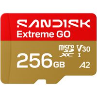 SANDISK Extreme GO microSDXC 256GB