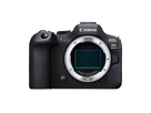 Canon EOS R6 Mark II Body