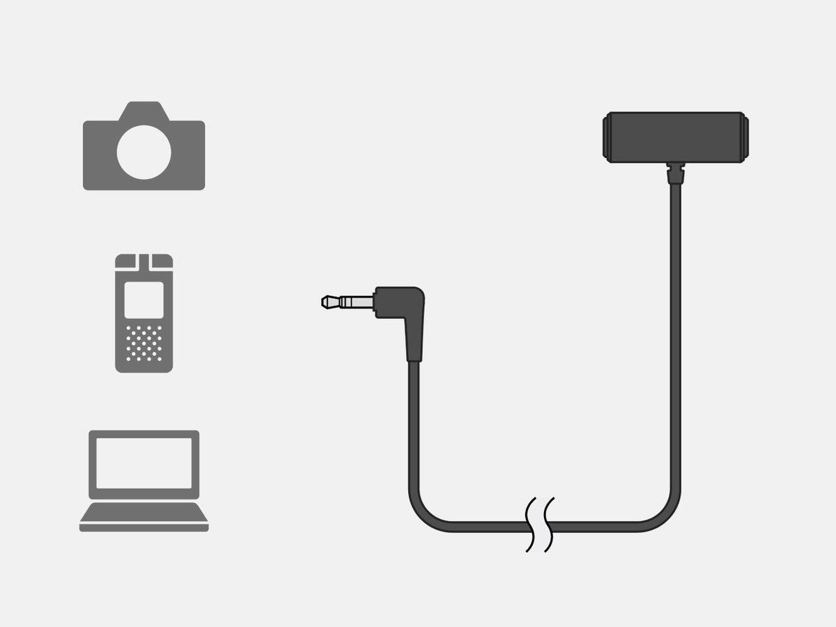 Sony ECMW2BT sans fil Microfone