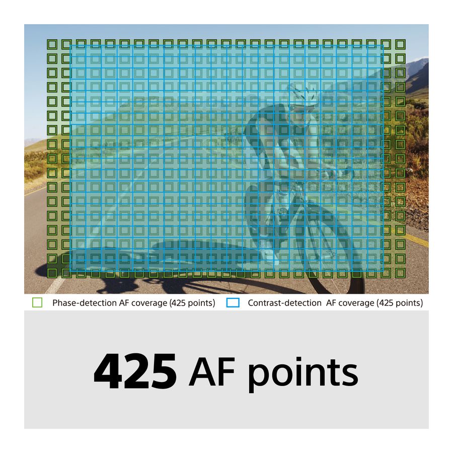 Sony Alpha 6600 Kit 18-135mm F3.5-5.6