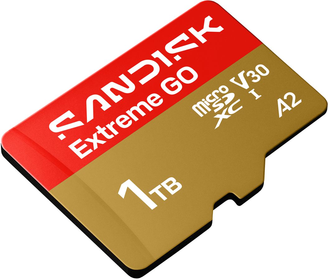 SANDISK Extreme GO microSDXC 1TB