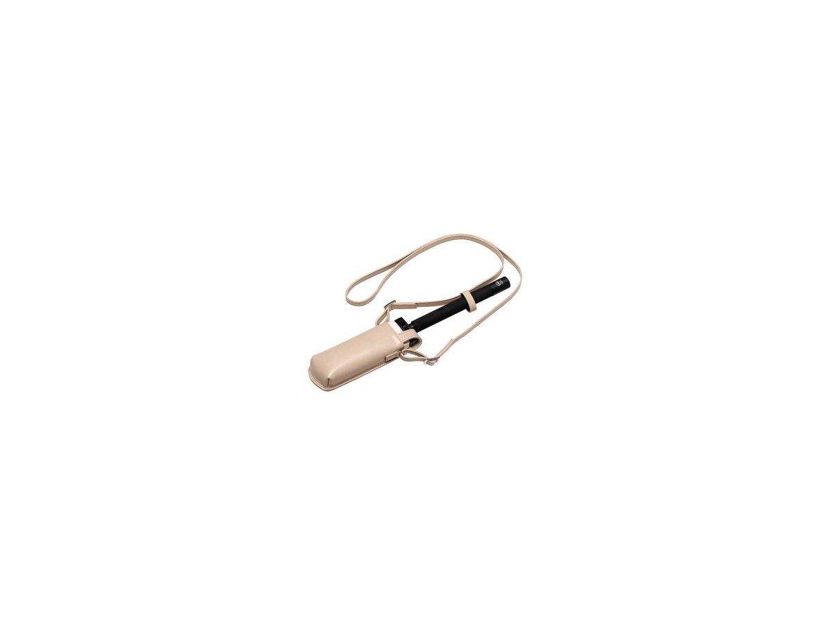 Ricoh étui Theta avec couroie