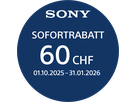 Sony Alpha 6100 A Kit argent 16-50mm II