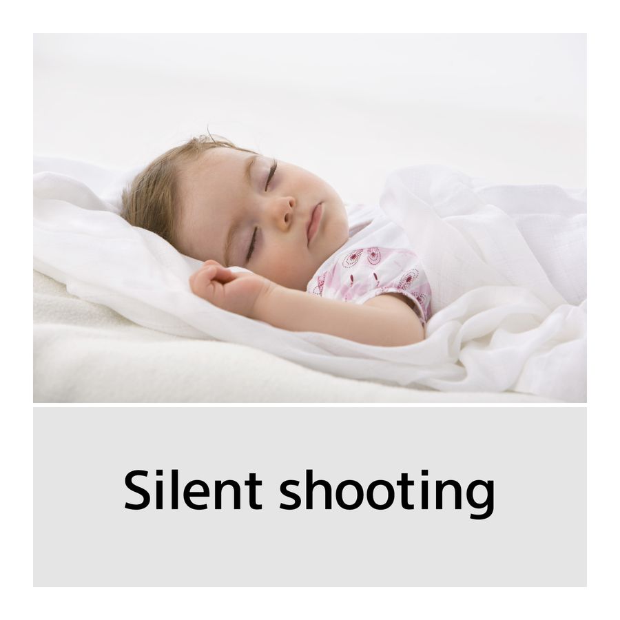 Sony Alpha 6100 Kit 16-50 / 55-210mm