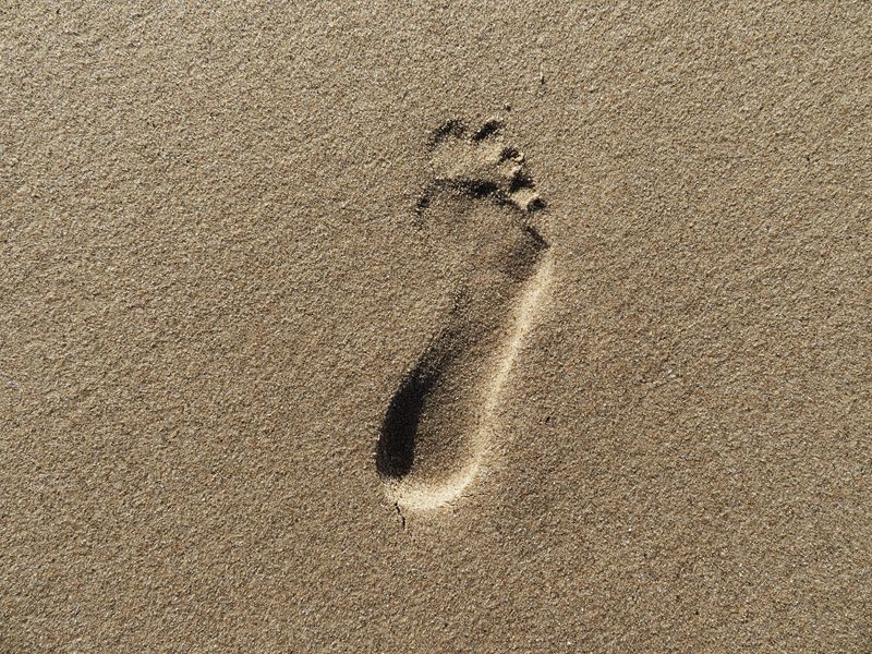 Canon PowerShot SX720 HS schwarz