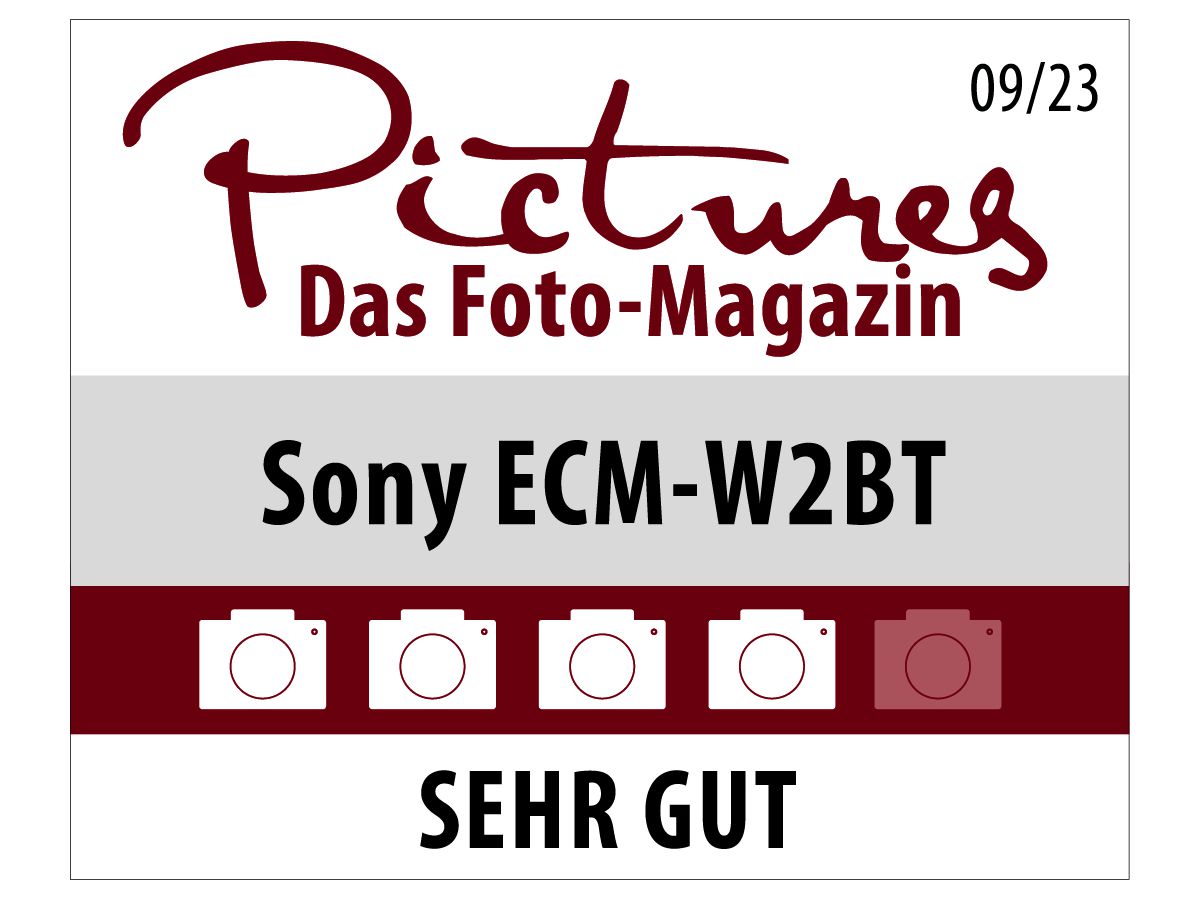 Sony ECMW2BT sans fil Microfone