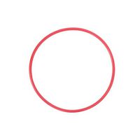 Olympus POL-050 O-Ring