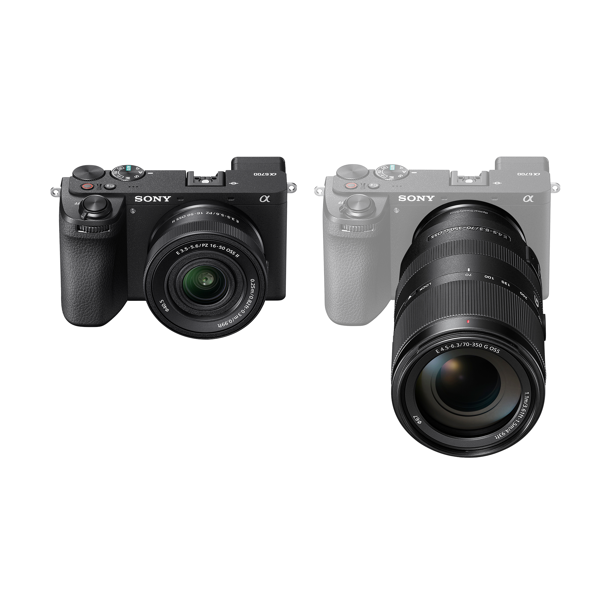 Sony Alpha 6700 Wildlife Hard Bundle