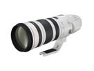 Canon EF 200-400mm 4L IS USM Extender 1.