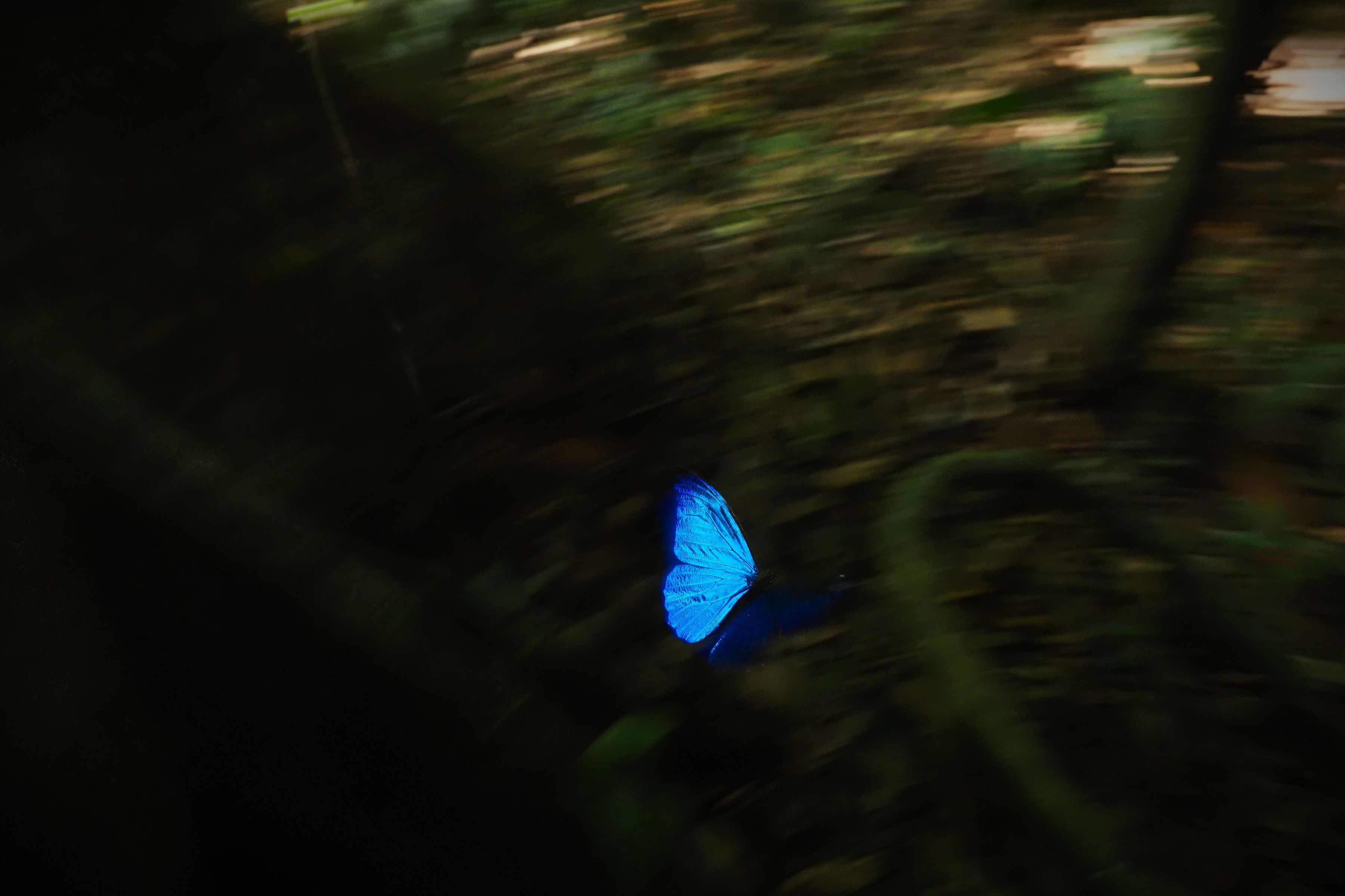 Olympus E-M1 Mark III 1240mm kit blk/blk