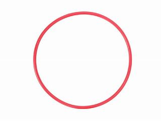 Olympus POL-EP13 O-Ring für PT-EP13