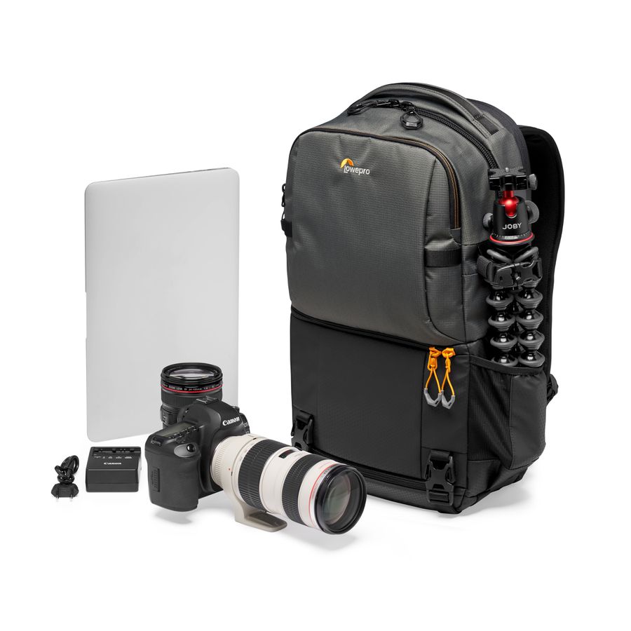 Lowepro Fastpack BP 250 AW III gris