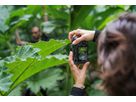 Sony Alpha ILCE-7CR Body Black