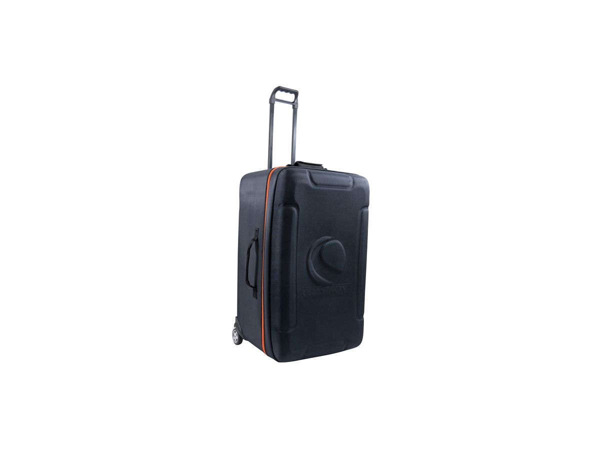 Celestron valise grand