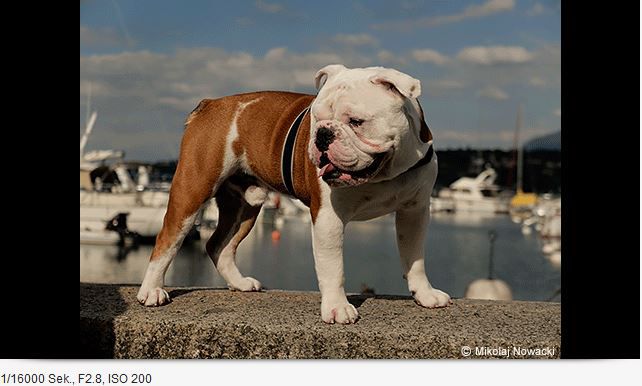 Panasonic LX 100M2 black