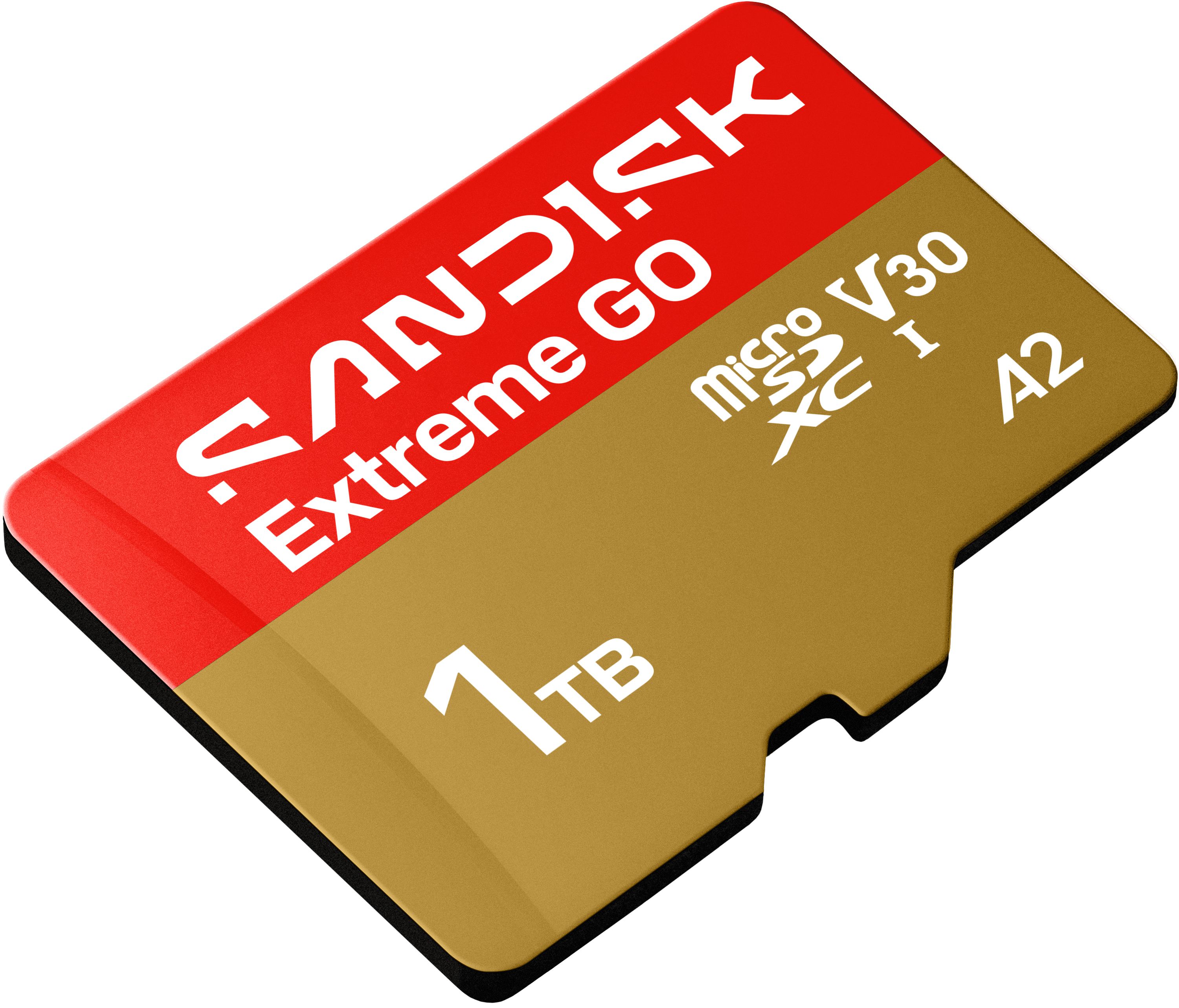 SANDISK Extreme GO microSDXC 1TB