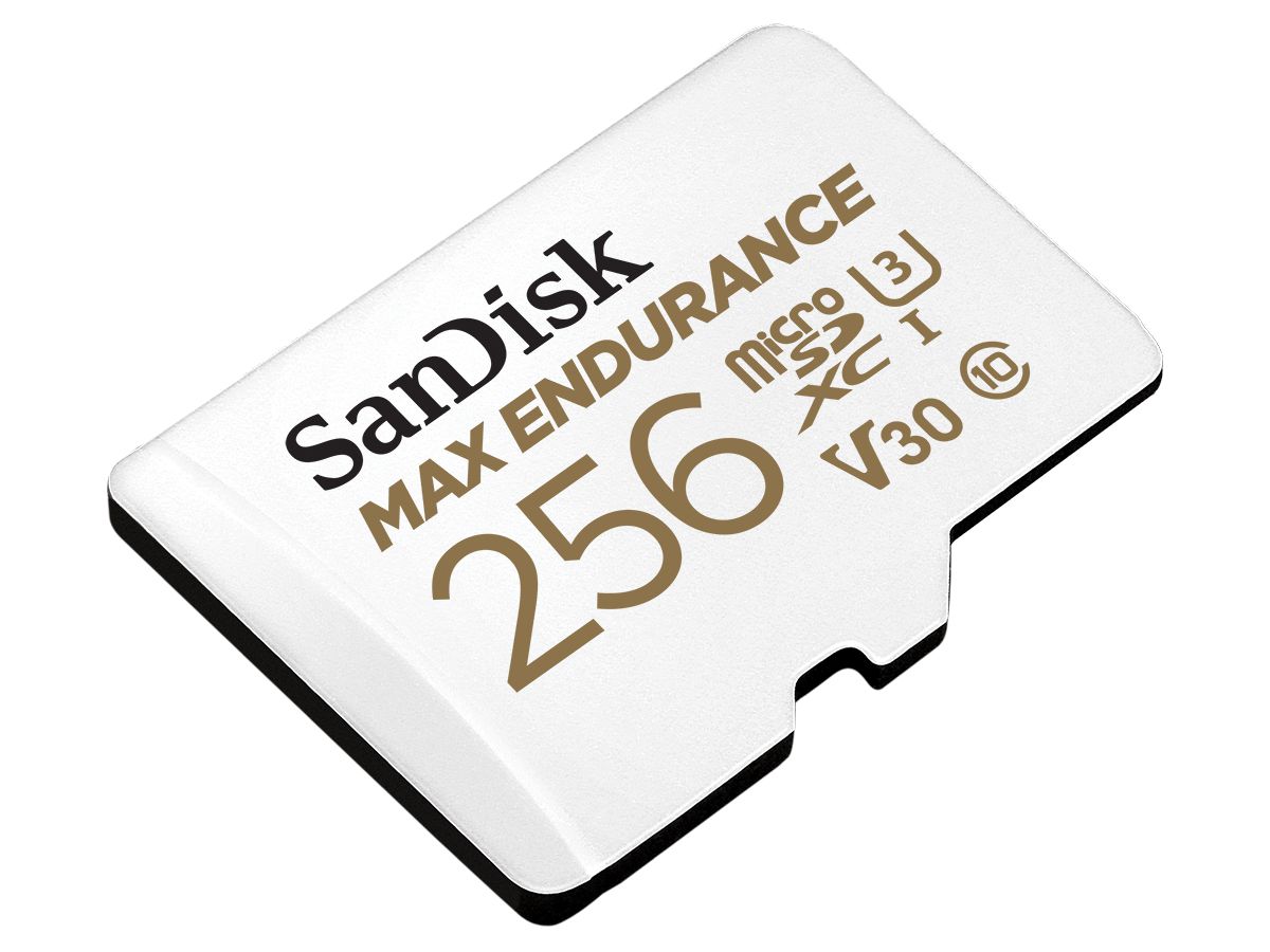 SanDisk microSDXC Max Endurance 256GB