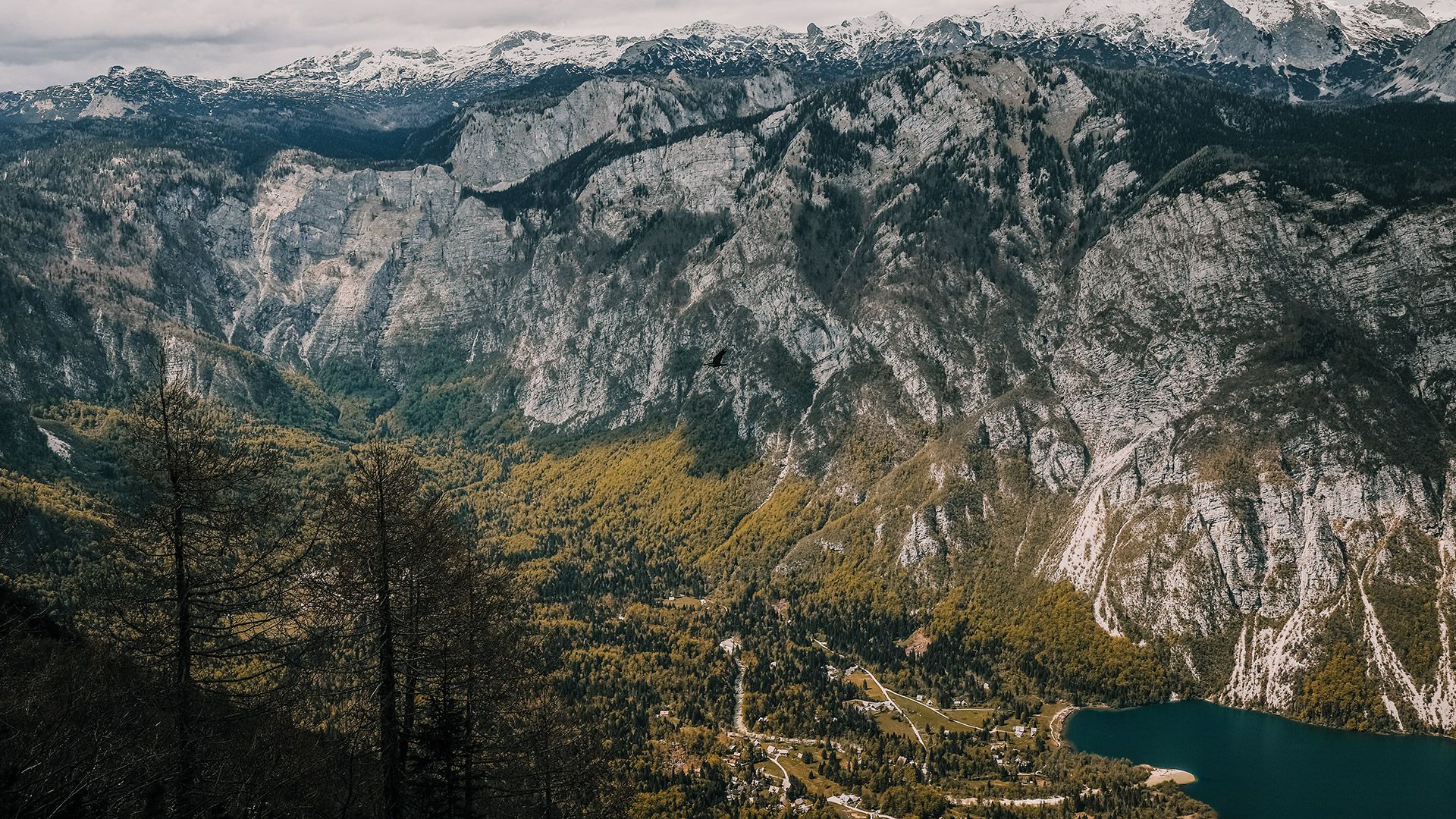 Canon EOS 6D Mark II Body