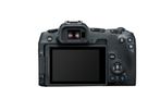 Canon EOS R8 Body