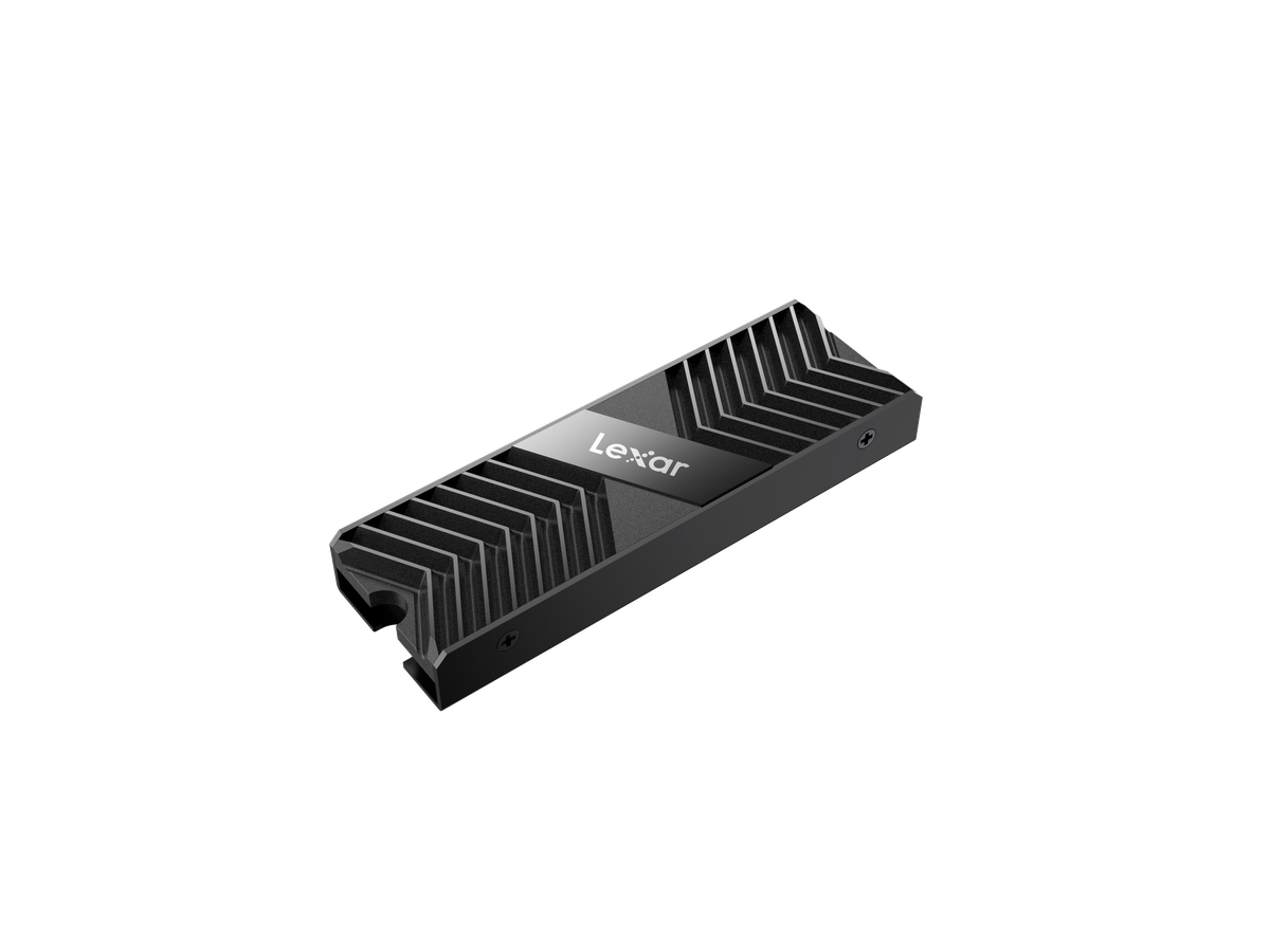 Lexar LPAH100 M.2 SSD Heatsink