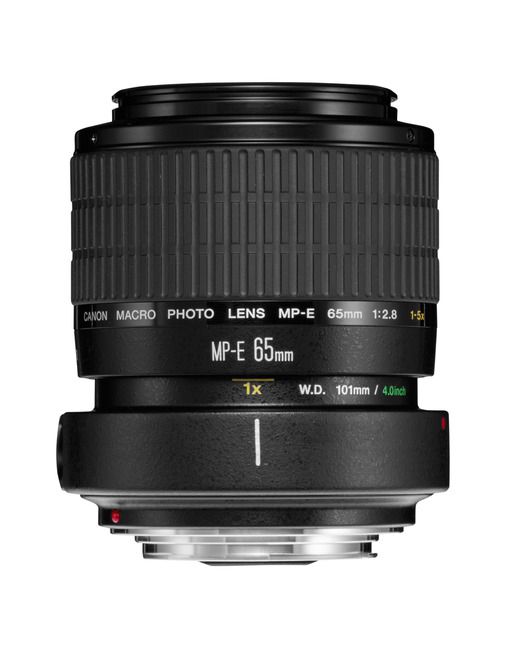 Canon MP-E 65mm 2.8 Macro (1:5)
