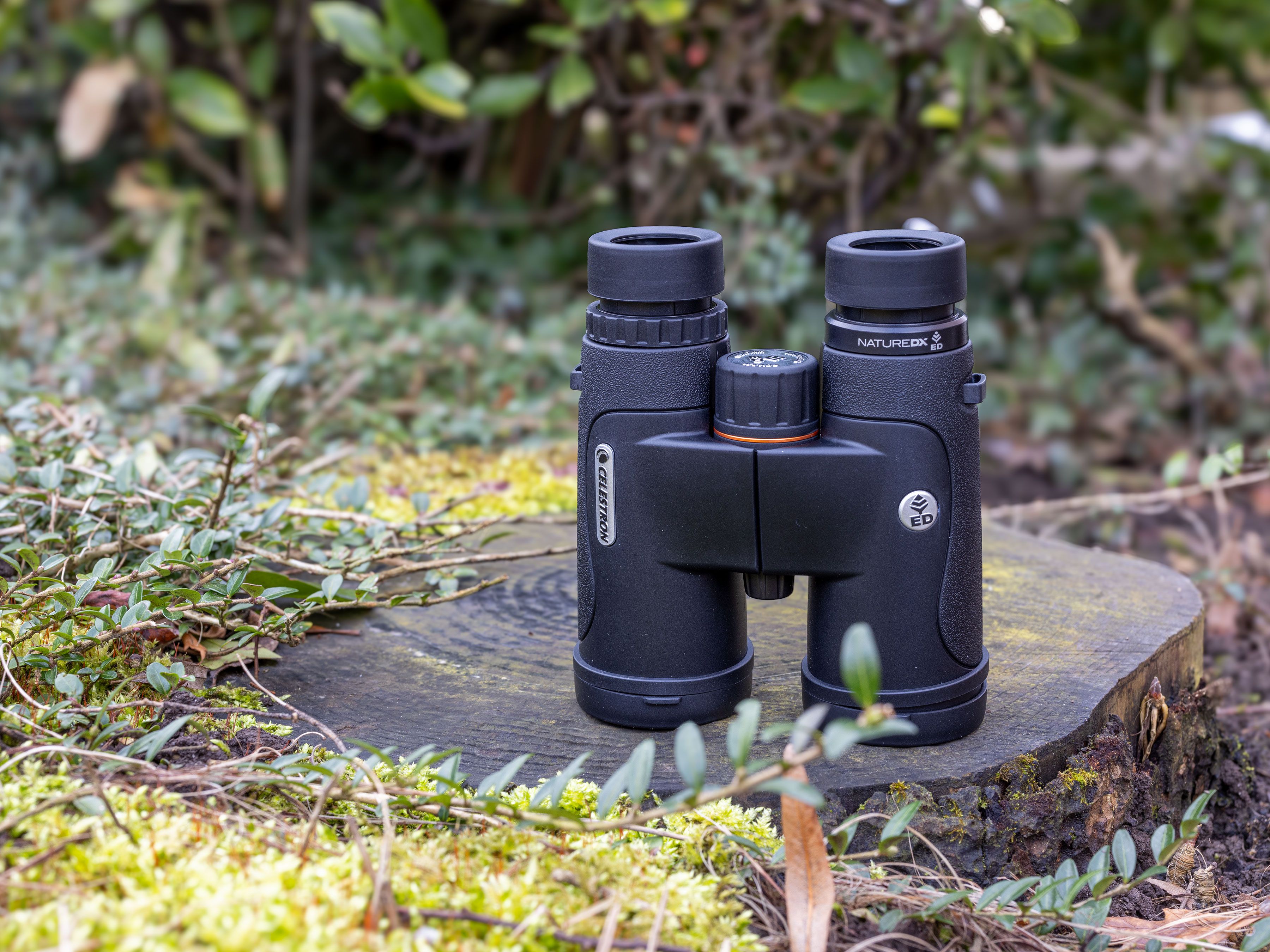 Celestron jumelle 10x42 Nature DX