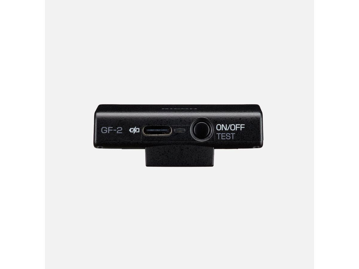 Ricoh Flash GF-2 WW