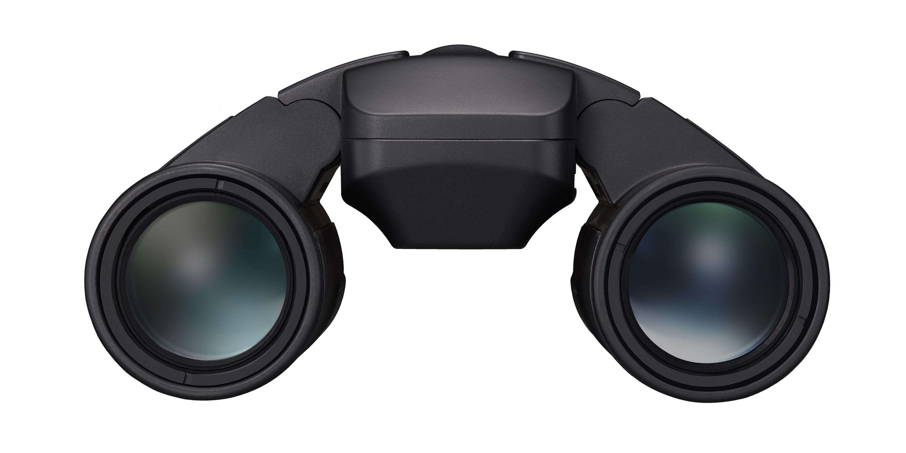 Nikon Jumelles STABILIZED 12X25 S