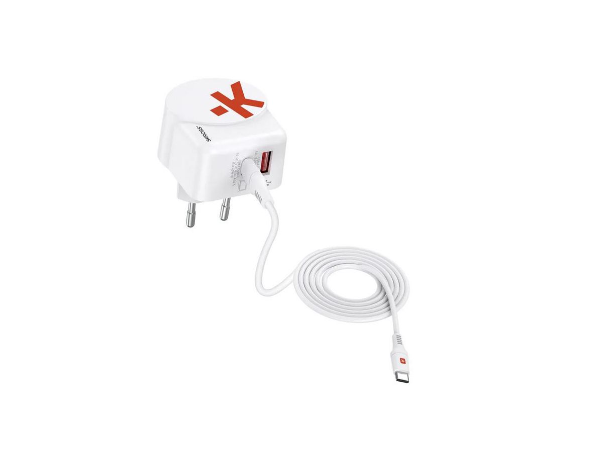Skross Euro USB Charger AC65PD