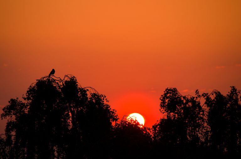 Pentax objectif smc DA 50-200mm ED WR