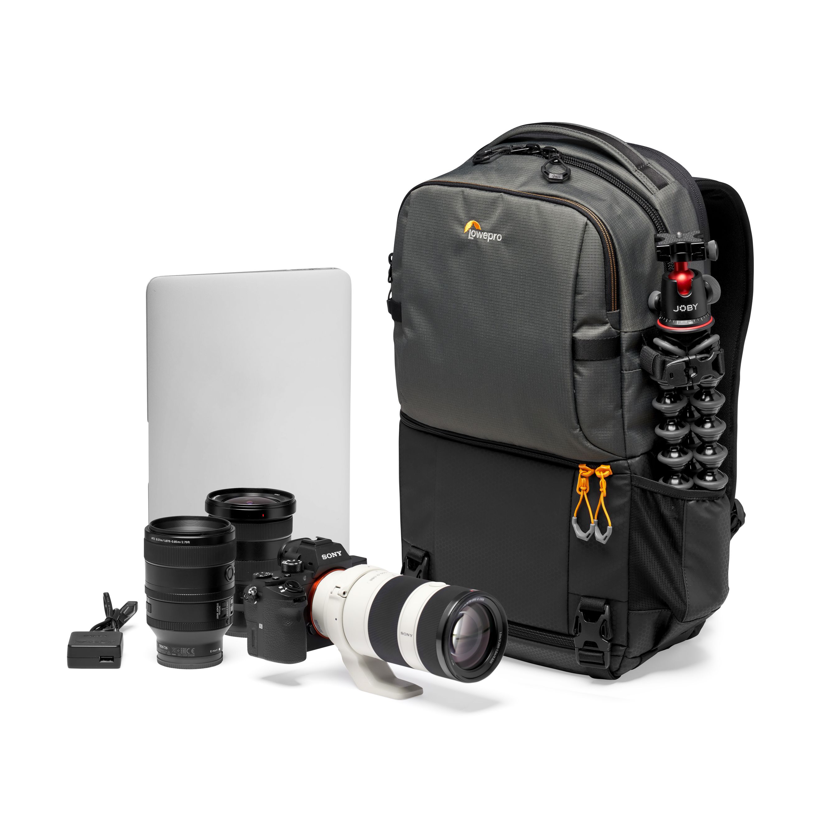 Lowepro Fastpack BP 250 AW III gris