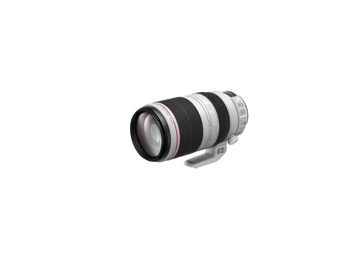 Canon EF 100-400mm 4.5-5.6 L IS II USM