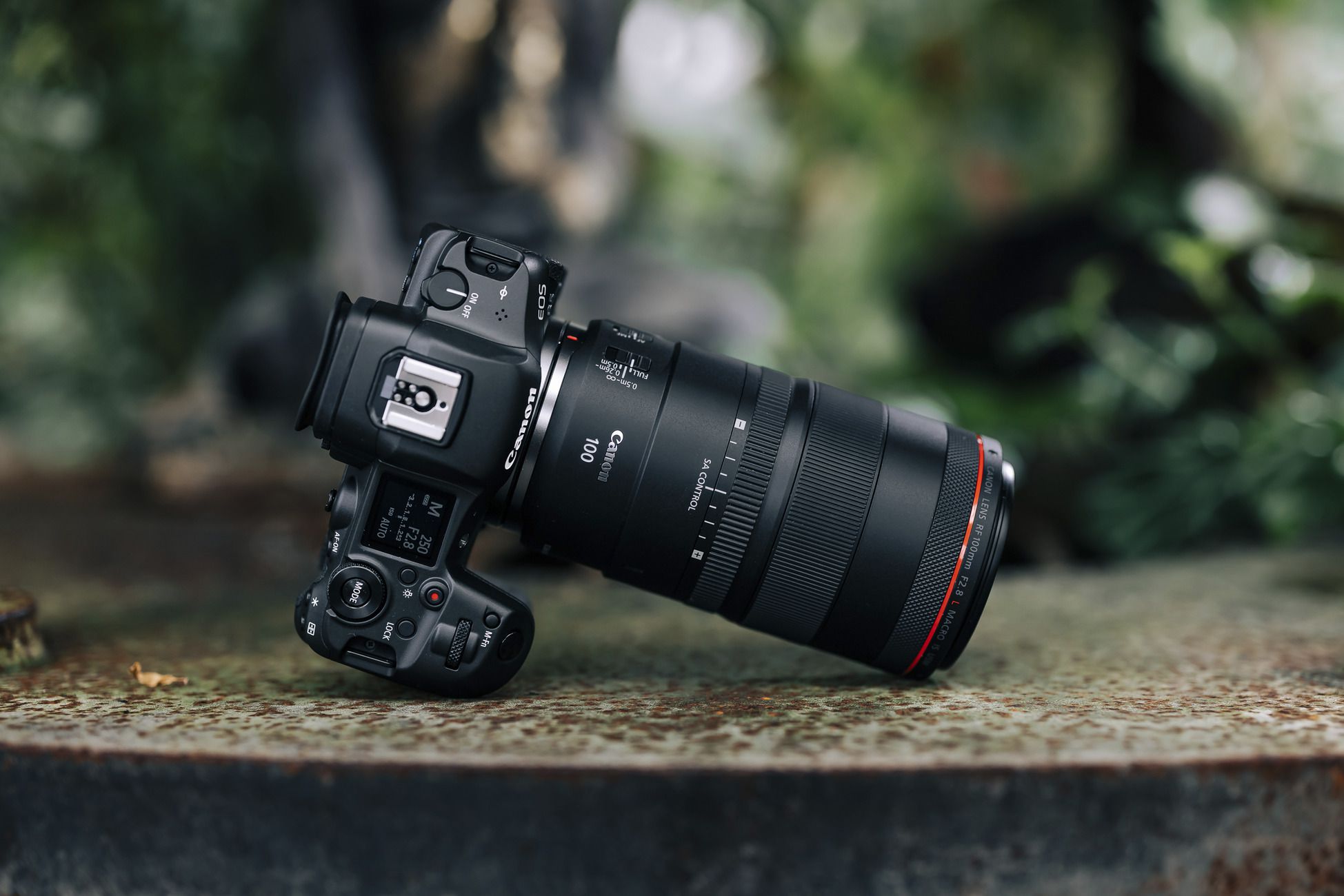 Canon RF 100mm f/2.8L Macro IS USM