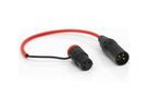 Rycote Câble XLR 26 cm (fiche coudée)