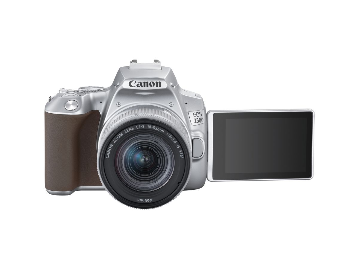 Canon EOS 250D + 18-55mm IS Silber